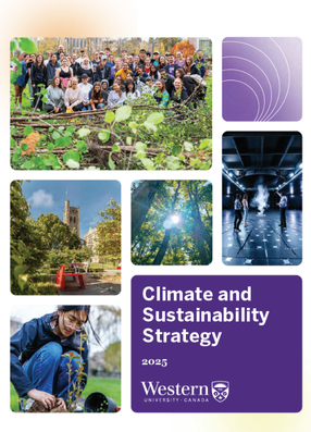 Draft strategy cover